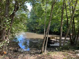 a pond in the middle of a forest with trees at Glamping Calvados 