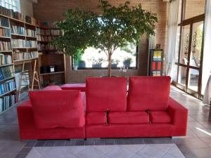 um sofá vermelho numa biblioteca com uma árvore em Guest House Brera vicino aeroporto di MXP e laghi em Varallo Pombia