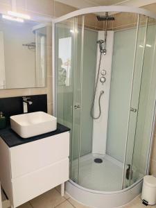 a bathroom with a shower and a sink at La Maison du Canal in Rostrenen