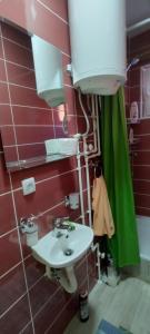 baño con lavabo y cortina de ducha verde en Guesthouse Tadic, en Guča