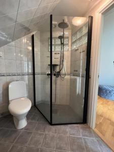 La salle de bains est pourvue d'une douche et de toilettes. dans l'établissement Vindsvåning på Salängen, à Borås
