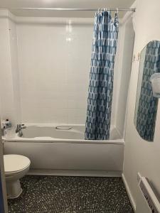 a bathroom with a tub and a toilet and a shower curtain at Room in the centre of Portsmouth in Portsmouth