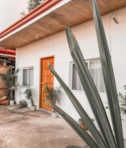 uma casa com uma planta em frente em Simple, bohemian style 1-bedroom bungalow +parking em San Juan