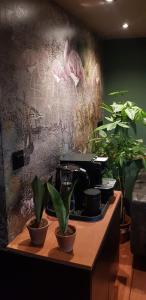 a table with potted plants on it with a wall at WHEELHOUSE EUPHRATE HOUSEBOAT in Amsterdam