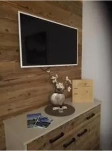 Μια τηλεόραση ή/και κέντρο ψυχαγωγίας στο Appartement Paulina Kaprun +26 φωτογραφίες