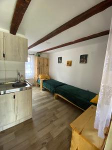 salon z zieloną kanapą i kuchnią w obiekcie Mitrović w mieście Boljevac