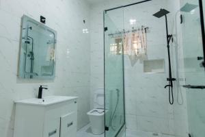 ein Bad mit einer Dusche, einem WC und einem Waschbecken in der Unterkunft Rhema Apartments in Lagos