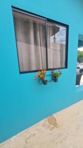 Pousada D’San Shower & Bed في فينهيدو: نافذة مع اثنين من النباتات الفخارية على الجدار الأزرق