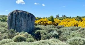 a large rock in the middle of a field at Villa Tauria- Casa de campo em aldeia medieval in Sabugal