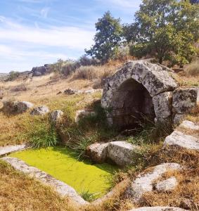 an old stone bridge over a pool of green water at Villa Tauria- Casa de campo em aldeia medieval in Sabugal