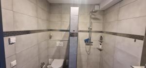 een badkamer met een douche en een toilet bij VivaNatura EifelferienStudio in Simmerath