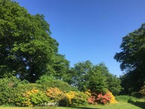 Scottish Organic Farm Cottage في Closeburn: مجموعة اشجار وورود في الميدان