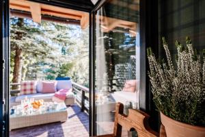 Vonkajšia záhrada v ubytovaní Villa Swiss na wyłączność - jacuzzi, sauna, bilard