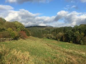 Příroda nedaleko prázdninového domu + 13 fotografií