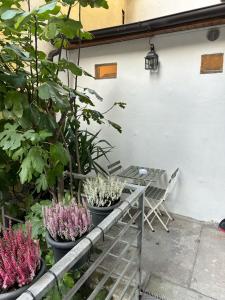 una mesa y sillas en un jardín con plantas en Annina home, en Turín