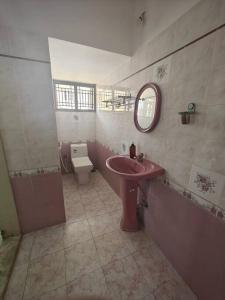 a bathroom with a pink sink and a toilet at Waterfall Villa - 4BHK in Mysore