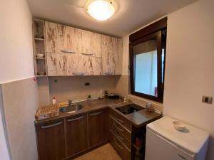 Kuchyň nebo kuchyňský kout v ubytování Apartman Spasojević