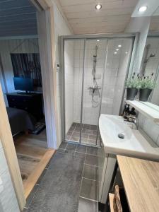 ein Bad mit einer Dusche und einem Waschbecken in der Unterkunft Geilotunet - Perfekt beliggenhet, sentralt, langs elven, 6 personer in Geilo