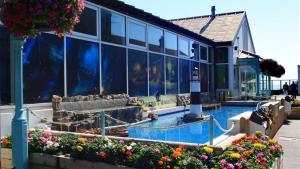 um grande edifício com uma piscina com flores em Little Hill House, Mumbles em The Mumbles