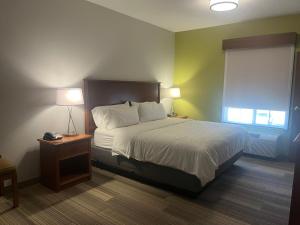 um quarto com uma cama, 2 candeeiros e uma janela em Holiday Inn Express Hotel & Suites Sioux Falls At Empire Mall, an IHG Hotel em Sioux Falls