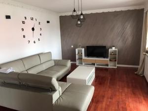 uma sala de estar com um sofá e uma televisão em Apartman DE em Velika Gorica