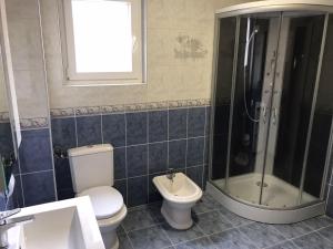uma casa de banho com um WC, um chuveiro e um lavatório. em Apartman DE em Velika Gorica