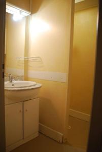 a bathroom with a sink and a mirror at Ha-Py Friends in Campan