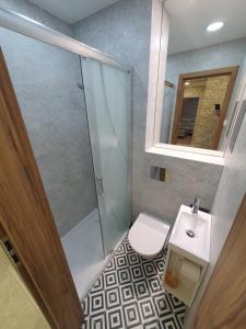 a bathroom with a shower and a toilet and a sink at JDK Apartamenty Legionów 74m2 8-osobowy in Kalisz +23 photos