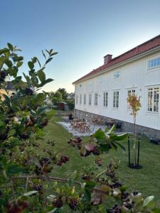 a large white building with a yard with trees at Crusellska Vandrarhemmet in Strömstad