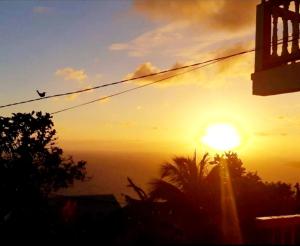 ein Sonnenuntergang mit einem Vogel, der in den Himmel fliegt in der Unterkunft "SunRise Inn" Nature Island Dominica in Penville