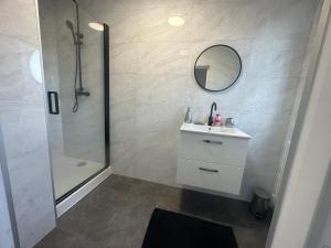 濱海布洛涅的住宿－Le Reposoir XXL avec jacuzzi，带淋浴、盥洗盆和镜子的浴室
