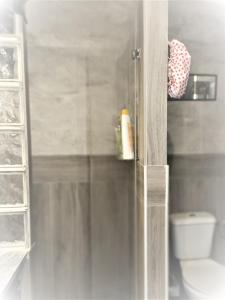 uma casa de banho com um WC e uma porta de duche em vidro. em Casa do Campo Dornes Três 