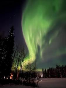 an aurora in the sky with trees in the foreground at Lakefront Aviators Aurora Retreat in North Pole