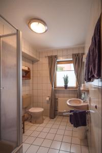 ein Bad mit einem WC, einem Waschbecken und einer Dusche in der Unterkunft Weingut Peifer in Traben-Trarbach