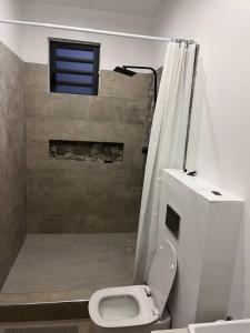 ein Bad mit einem WC und einer Dusche mit einem Fenster in der Unterkunft Entre ciel et mer in Grand Baie