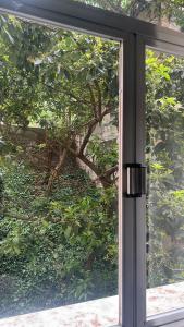 a window with a view of a tree outside at Copacabana Apartment in Rio de Janeiro
