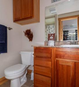 a bathroom with a toilet and a sink at Apres Chalet Luxury Town Home off Ski Hill Rd in Driggs
