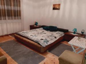 1 dormitorio con 1 cama, 2 mesitas de noche y mesa en Stefanovića kuća en Babušnica