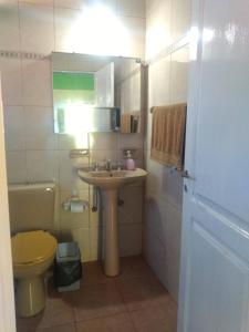 a bathroom with a sink and a toilet at La Casita de Irene in Puerto Rico