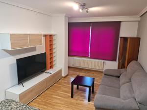 ein Wohnzimmer mit einem Sofa und einem Flachbild-TV in der Unterkunft Piso Millenium in Ourense