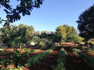 Zahrada ubytování Trulli Bosco Selva
