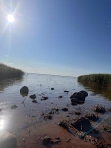 Saare-Toominga camping house في Väike-Rakke: تتجمع فيه المياه والصخور