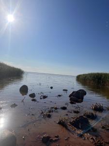 um corpo de água com pedras em Saare-Toominga camping house em Väike-Rakke