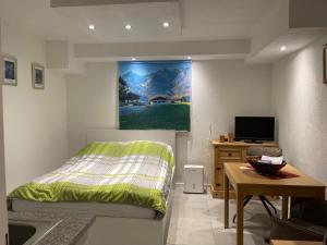 Schlafzimmer mit einem Bett, einem Schreibtisch und einem TV in der Unterkunft Apartment Geigelsteinstrasse in Schleching