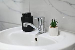 a bathroom sink with a faucet and a plant on it at M lux Kragujevac in Kragujevac