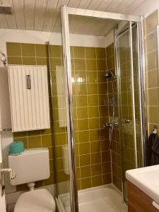 ein Bad mit einer Dusche, einem WC und einem Waschbecken in der Unterkunft Apartment Geigelsteinstrasse in Schleching