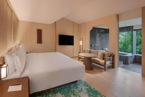 Een TV en/of entertainmentcenter bij Shisui, a Luxury Collection Hotel, Nara
