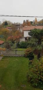 a green yard with a palm tree and a building at Antica Corte da Edi in San Daniele del Friuli
