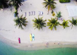 una vista sul mare di una spiaggia con palme e persone di The Ellysian Boutique Hotel a Placencia