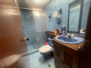 La salle de bains est pourvue de toilettes, d'un lavabo et d'une douche. dans l'établissement Casa Purple Hostel, à Medellín